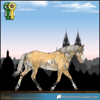 Horse Color:White Spotted Silver Smoky Grullo Splash Appaloosa  and Palomino 
