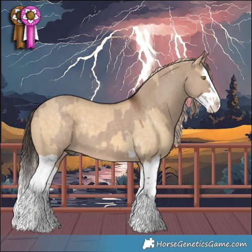 Horse Color:Liver Red Dun Splash  and Chocolate Palomino Dun Splash 