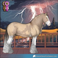 Horse Color:Liver Red Dun Splash  and Chocolate Palomino Dun Splash 