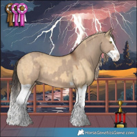 Horse Color:Liver Red Dun Splash and Chocolate Palomino Dun Splash