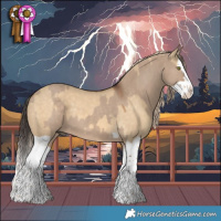 Horse Color:Liver Red Dun Splash and Chocolate Palomino Dun Splash