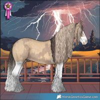 Horse Color:Liver Red Dun Splash and Chocolate Palomino Dun Splash