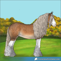 Horse Color:Chocolate Palomino Splash