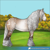 Horse Color:Powder White Gray White Spotted Silver Bay Dun Splash Brindle 
