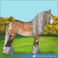 Horse Color:Powder White Gray White Spotted Silver Bay Dun Splash Brindle 