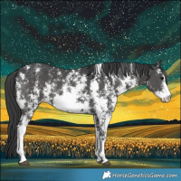 Horse Color:Black Sabino