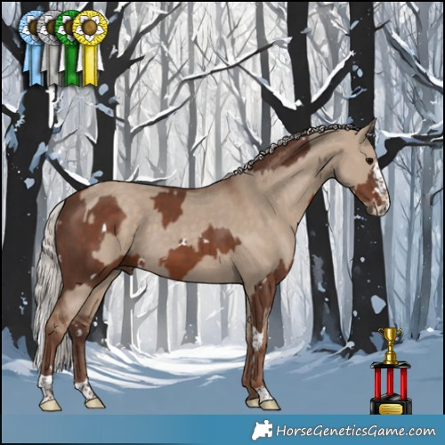 Horse Color:White Spotted Silver Black Splash Tobiano  and Silver Grullo 
