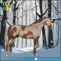 Horse Color:White Spotted Silver Black Splash Tobiano  and Silver Grullo 