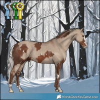 Horse Color:White Spotted Silver Black Splash Tobiano  and Silver Grullo 