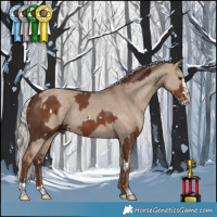 Horse Color:White Spotted Silver Black Splash Tobiano  and Silver Grullo 