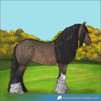 Horse Color:Brown Dun Tobiano 