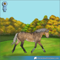 Horse Color:Silver Buckskin Dun Tobiano Brindle 