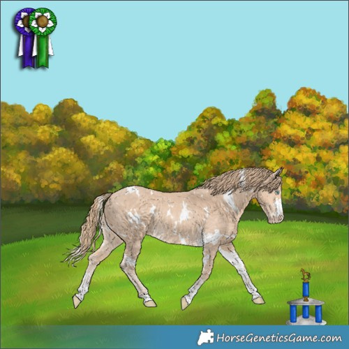 Horse Color:White Spotted Perlino Rabicano 