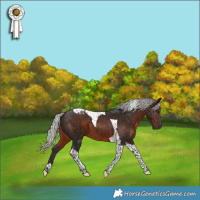 Horse Color:Silver Brown Tobiano 