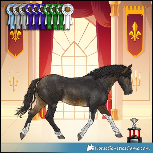 Horse Color:Buckskin Tobiano Rabicano 