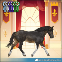 Horse Color:Buckskin Tobiano Rabicano 