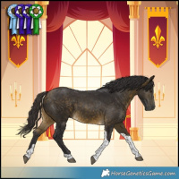 Horse Color:Buckskin Tobiano Rabicano 