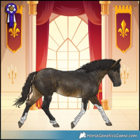 Horse Color:Buckskin Tobiano Rabicano 