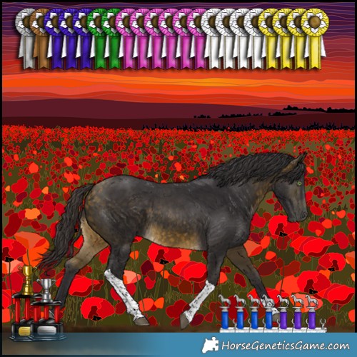 Horse Color:Buckskin Tobiano Rabicano 