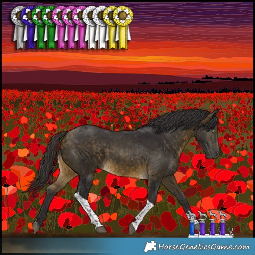 Horse Color:Buckskin Tobiano Rabicano 