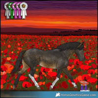 Horse Color:Buckskin Tobiano Rabicano 