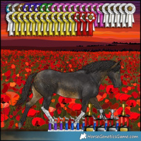 Horse Color:Buckskin Tobiano Rabicano