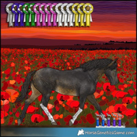 Horse Color:Buckskin Tobiano Rabicano 