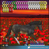 Horse Color:Buckskin Tobiano Rabicano 