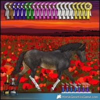 Horse Color:Buckskin Tobiano Rabicano