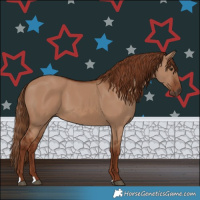 Horse Color:Red Dun 