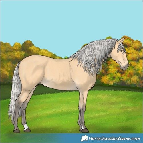 Horse Color:Silver Buckskin 