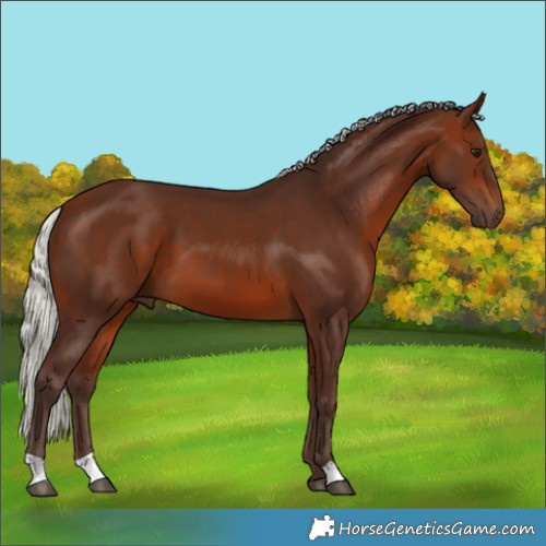 Horse Color:Silver Brown 