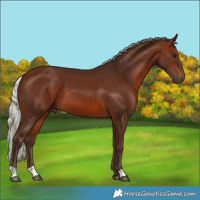 Horse Color:Silver Brown