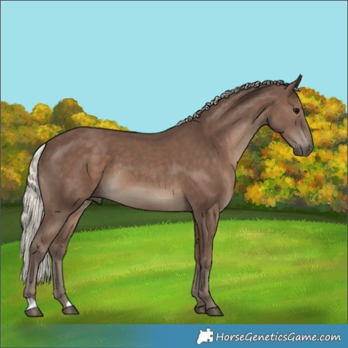 Horse Color:Silver Black 
