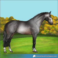 Horse Color:Gray Brown 