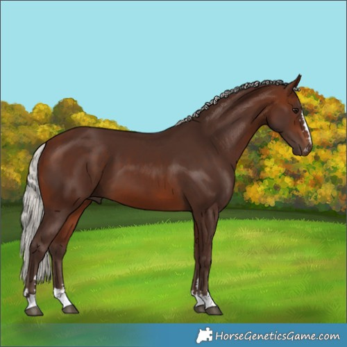 Horse Color:Silver Brown 