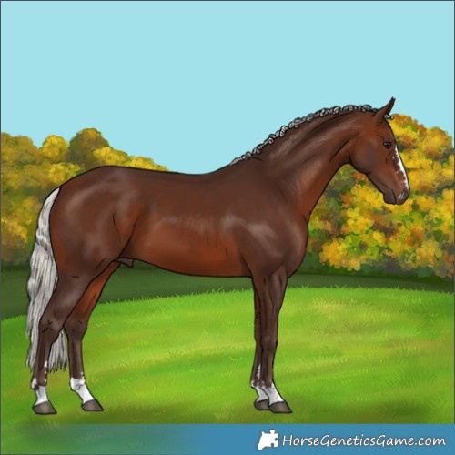 Horse Color:Silver Brown