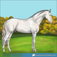 Horse Color:Smoky Creme Dun Tobiano Rabicano