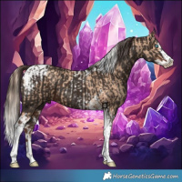 Horse Color:Gold Champagne Splash Tobiano  and Liver Chestnut Splash Tobiano 