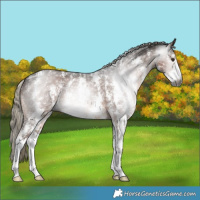 Horse Color:Gray Liver Chestnut Mushroom Sabino 
