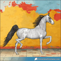 Horse Color:Grullo Roan Sabino Varnish Rabicano 