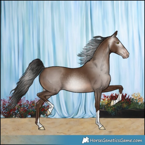 Horse Color:Gray Sable Champagne 