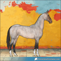 Horse Color:Brown Roan Dun Appaloosa