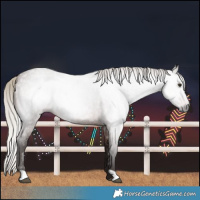 Horse Color:Gray Silver Bay Roan Varnish 