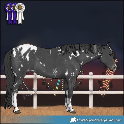 Horse Color:White Spotted Black Sabino Varnish 