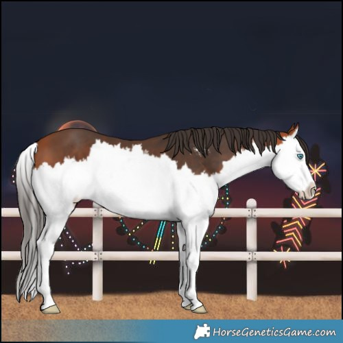 Horse Color:Bay Sabino Splash 