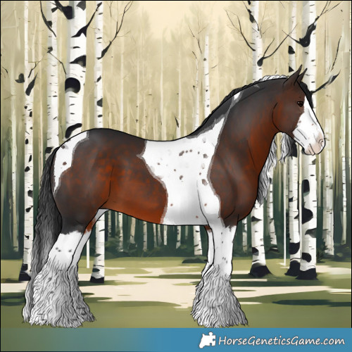 Horse Color:White Spotted Brown Splash Tobiano 