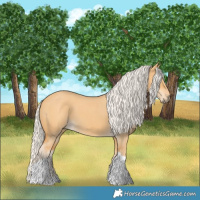 Horse Color:Silver Buckskin Dun Tobiano 