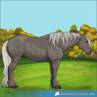 Horse Color:Silver Smoky Black 