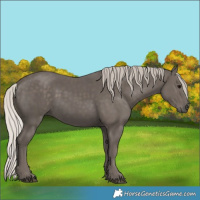 Horse Color:Silver Black 
